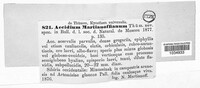 Aecidium martianoffianum image